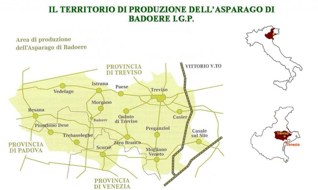 Germogli di Primavera 2